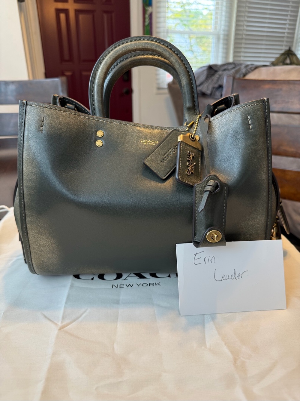 Coach Loved Leather Rogue 31 in green.